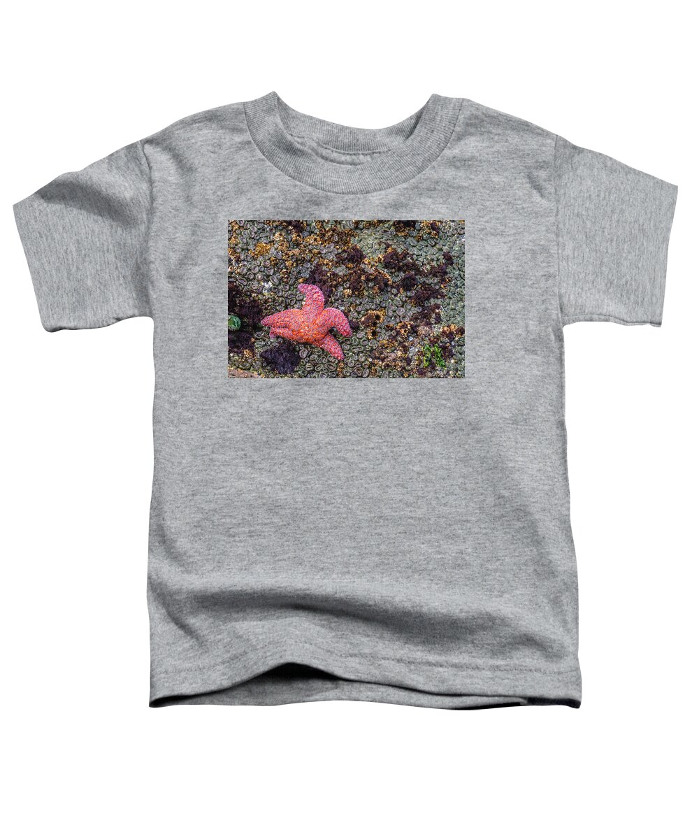 Washington Toddler T-Shirt featuring the photograph Starfish by Alberto Zanoni