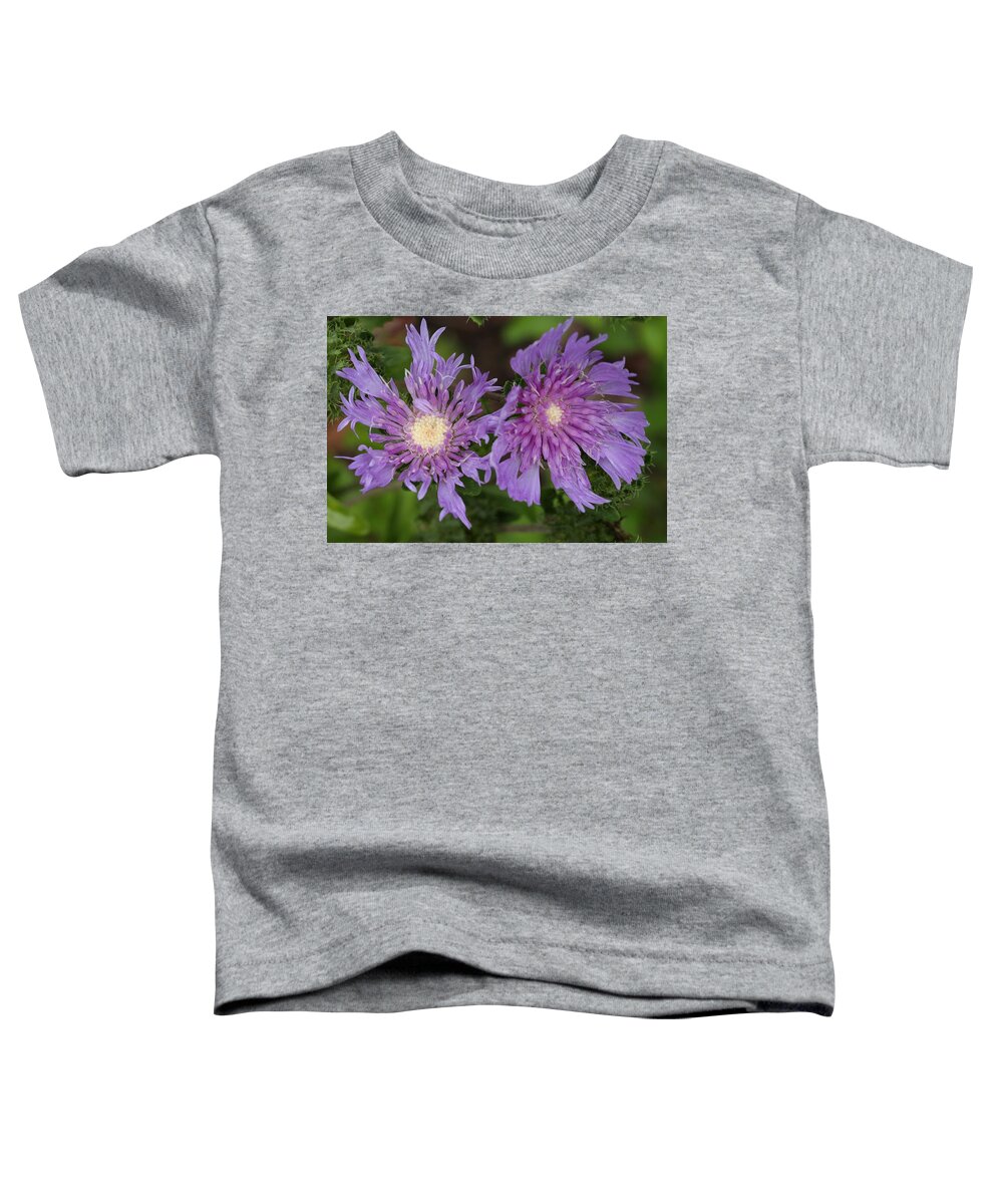 Stoke’s Aster Toddler T-Shirt featuring the photograph Stoke's Aster Flower 5 by Mingming Jiang