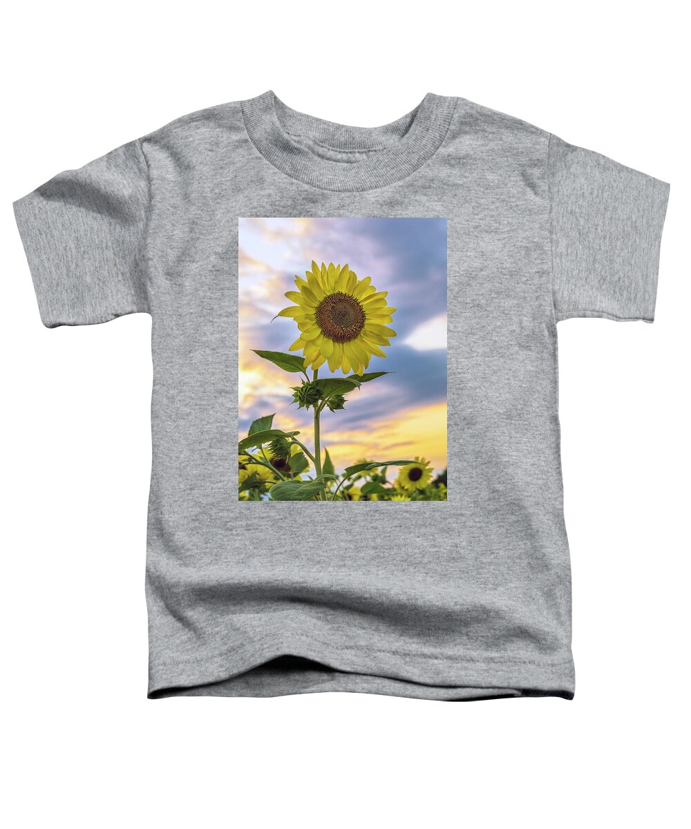 Flowers Toddler T-Shirt featuring the photograph Summer Sunflower 2 by Robert Fawcett