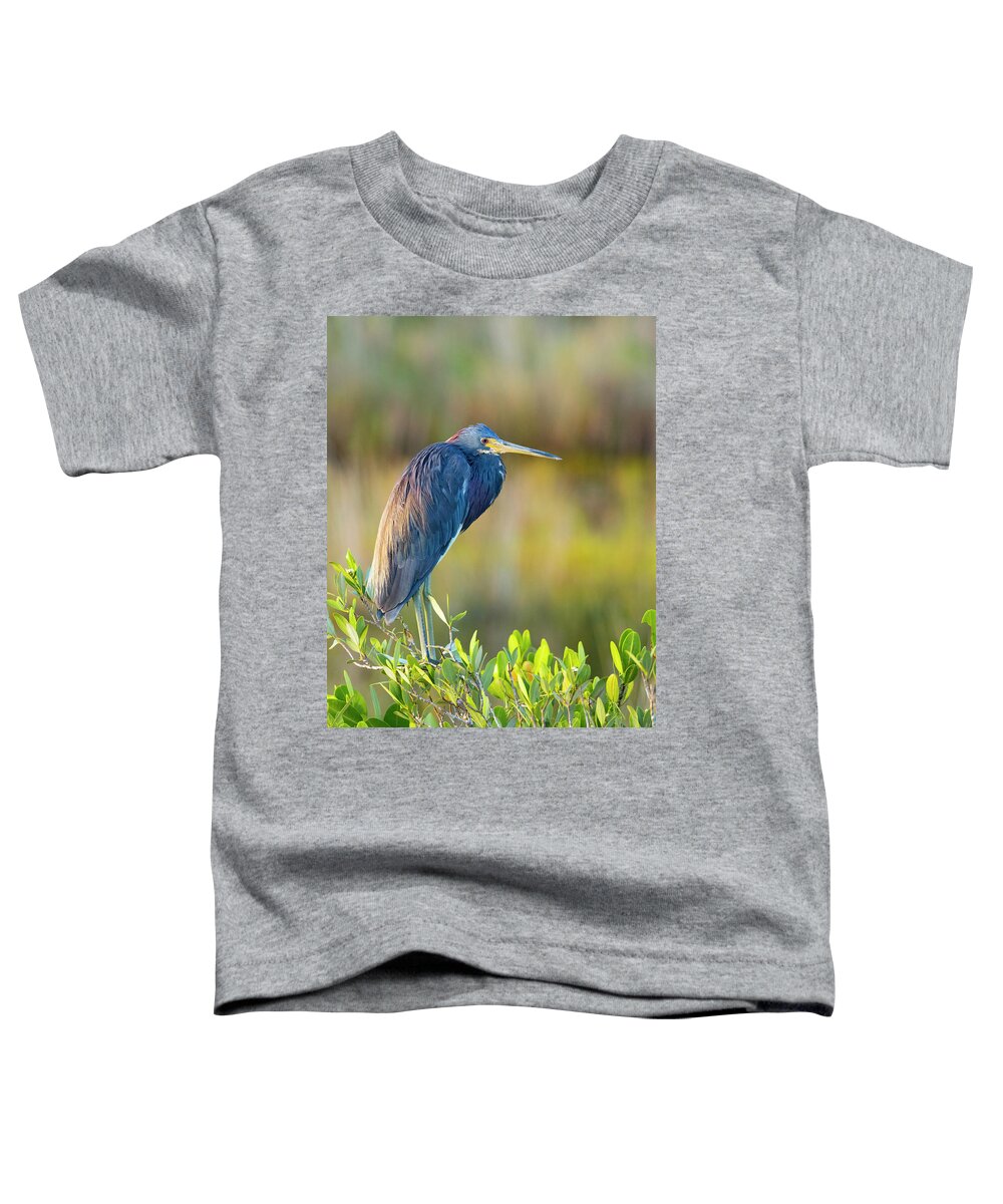 R5-2601 Toddler T-Shirt featuring the photograph Sunday morning scout by Gordon Elwell