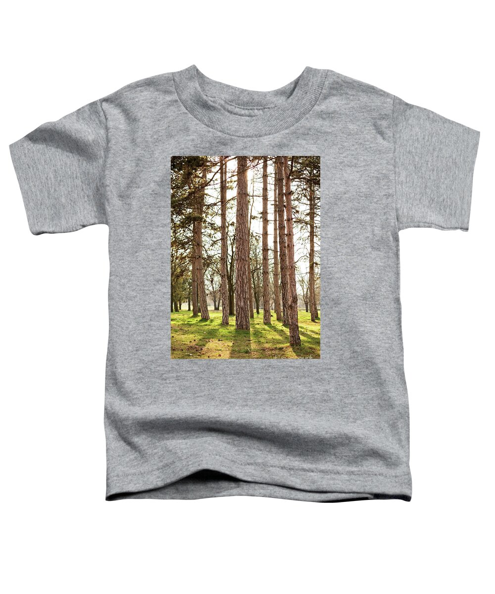 Forest Toddler T-Shirt featuring the photograph Sunny pine tree forest by Mendelex Photography