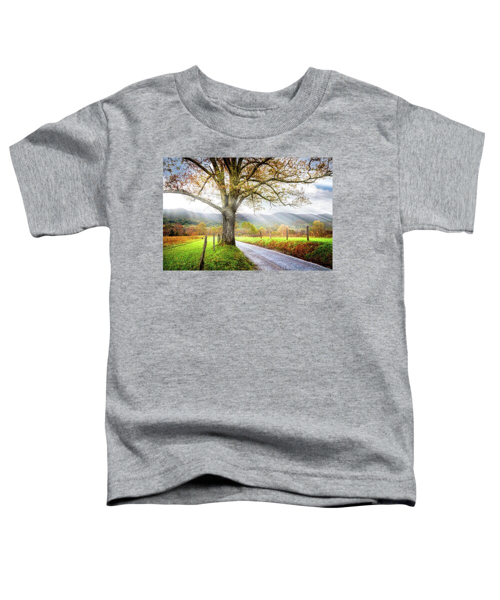 Cades Toddler T-Shirt featuring the photograph Sunrays on Sparks Lane at Cades Cove Townsend Tennessee by Debra and Dave Vanderlaan