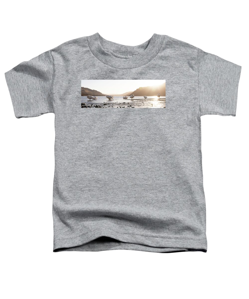Panorama Toddler T-Shirt featuring the photograph Swans on Ullswater Lake District by Sonny Ryse