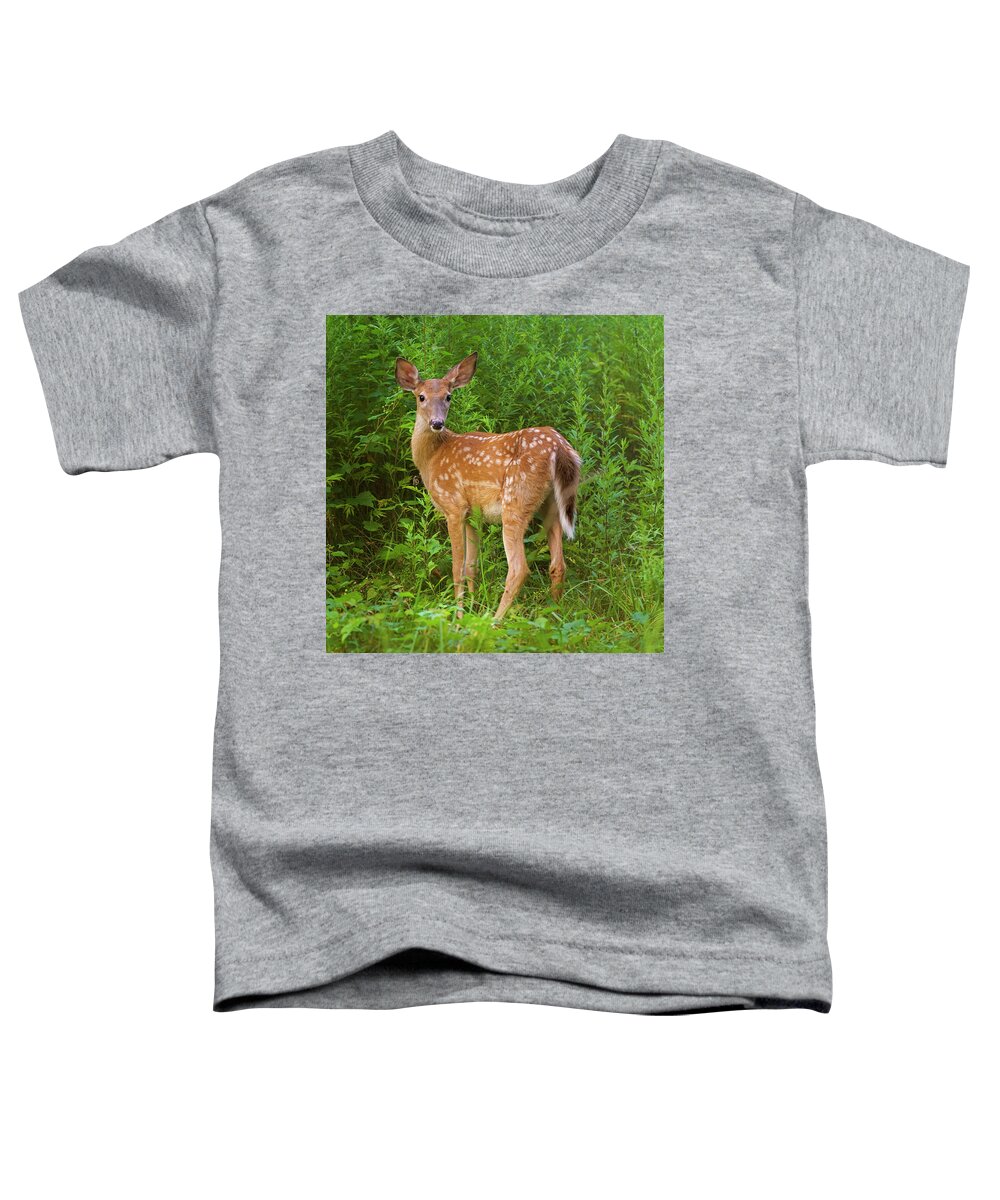 Fawn Toddler T-Shirt featuring the photograph Sweet Fawn in a Thicket by Marianne Campolongo