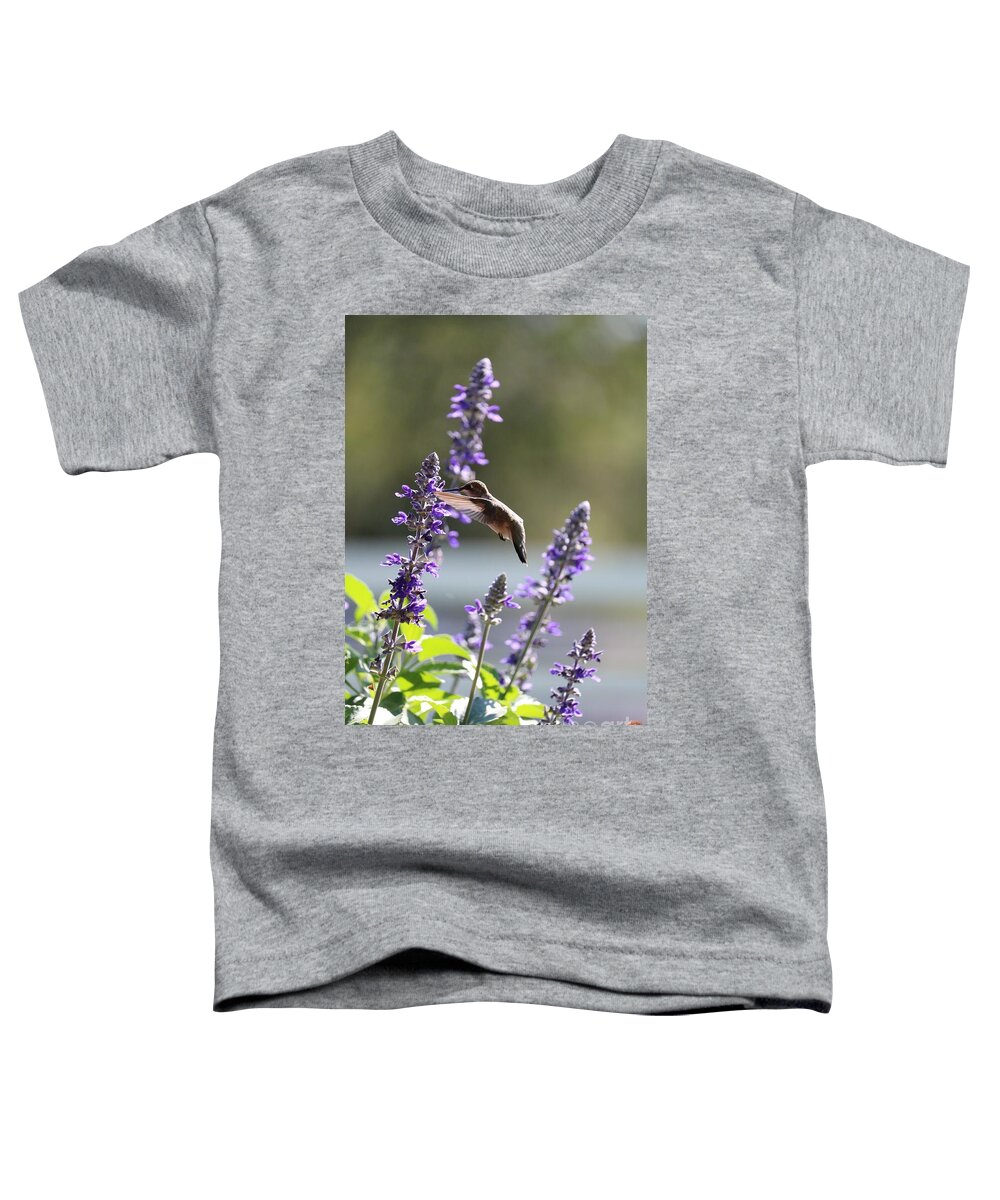 Hummingbird Toddler T-Shirt featuring the photograph Sweet Hummingbird in the Salvia by Carol Groenen