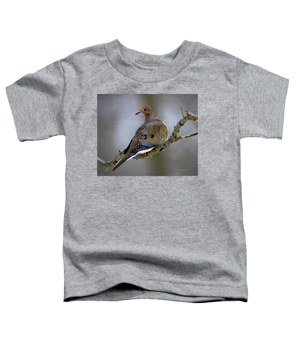 Birds Toddler T-Shirt featuring the photograph Sweet Mourning Dove by Mary Walchuck