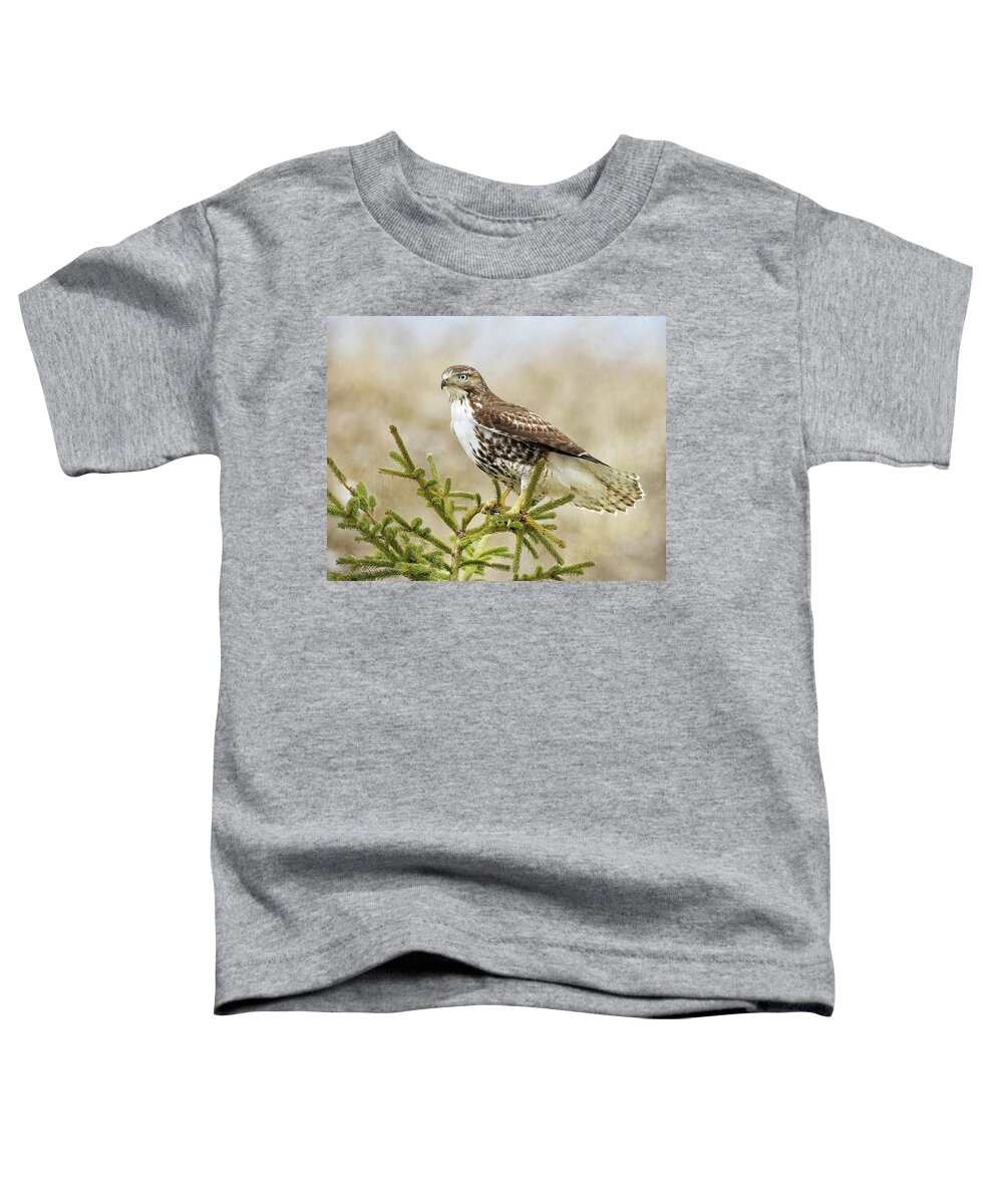 Tail Display Toddler T-Shirt featuring the photograph Tail Display by CR Courson