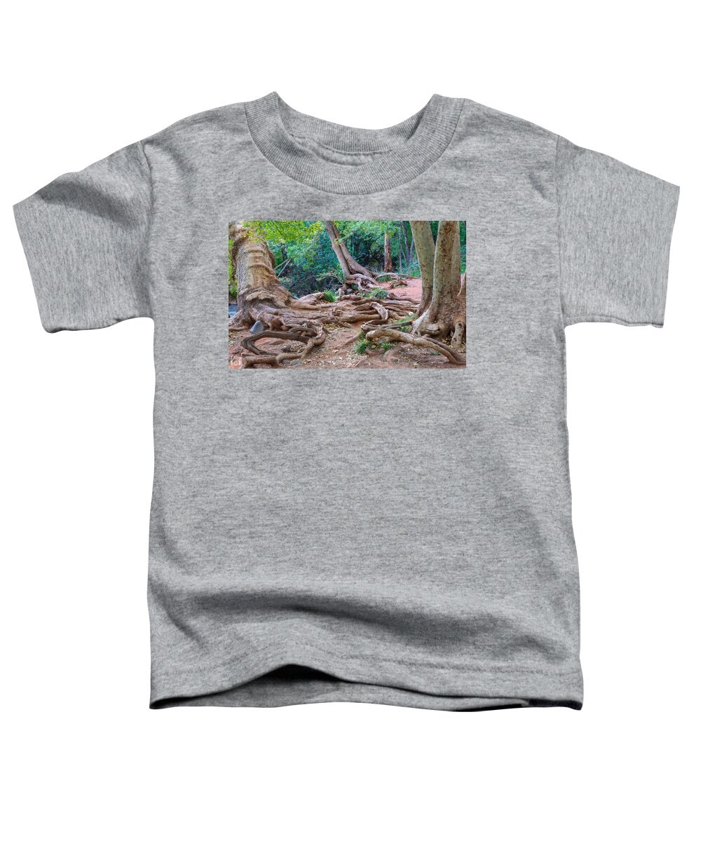 Roots Trees Tangle Twisted Landscape Fstop101 Sedona Oak Creek Canyon Toddler T-Shirt featuring the photograph Tangled Roots by Geno