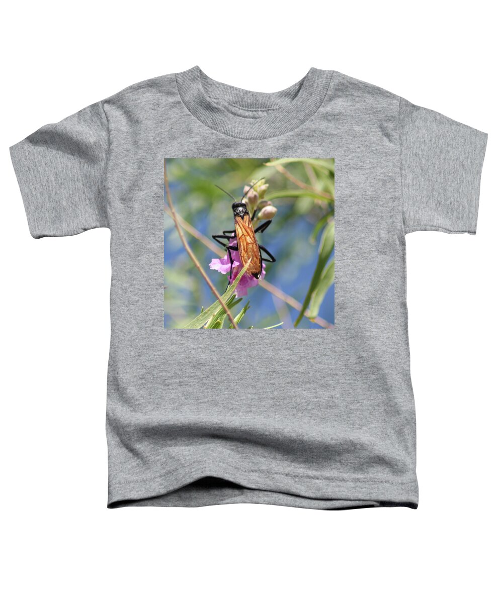 Tarantula Hawk Wasp Toddler T-Shirt featuring the photograph Tarantual HAwk Wasp by Perry Hoffman