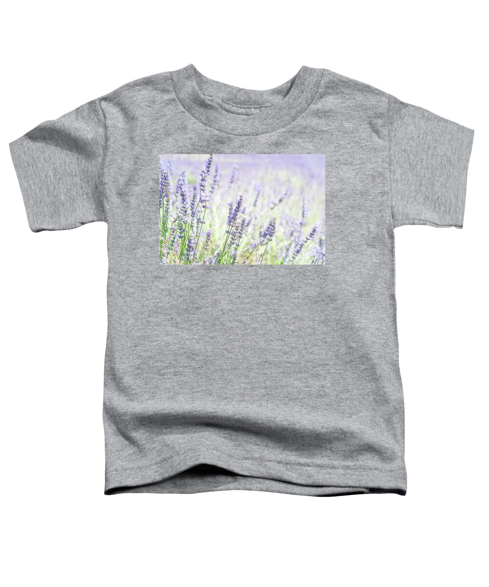 Lavender Toddler T-Shirt featuring the photograph Tenderness of Lavender field by Anastasy Yarmolovich