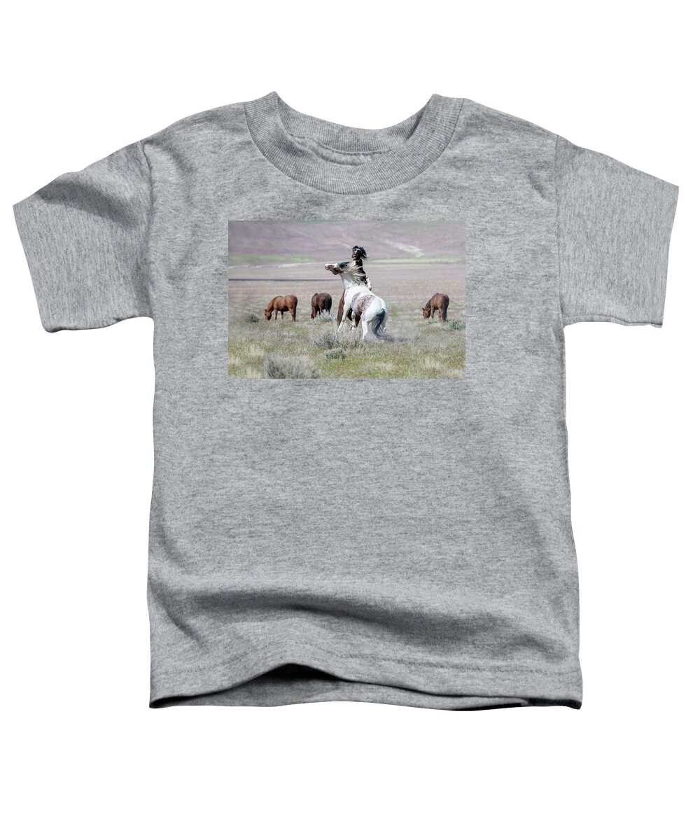 Horse Toddler T-Shirt featuring the photograph Territorial Dispute in the Desert by Fon Denton