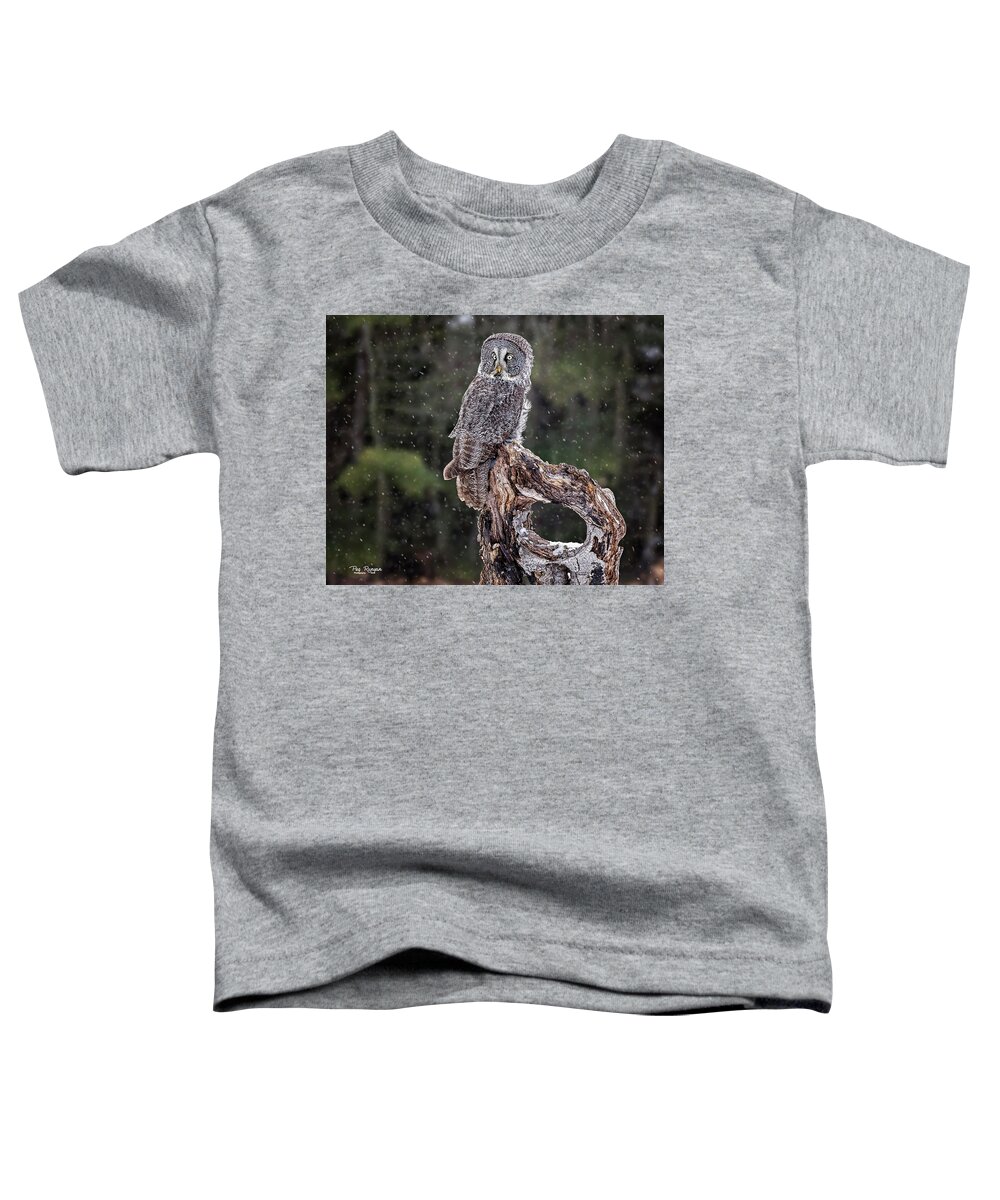 Owl Toddler T-Shirt featuring the photograph The Great Gray by Peg Runyan