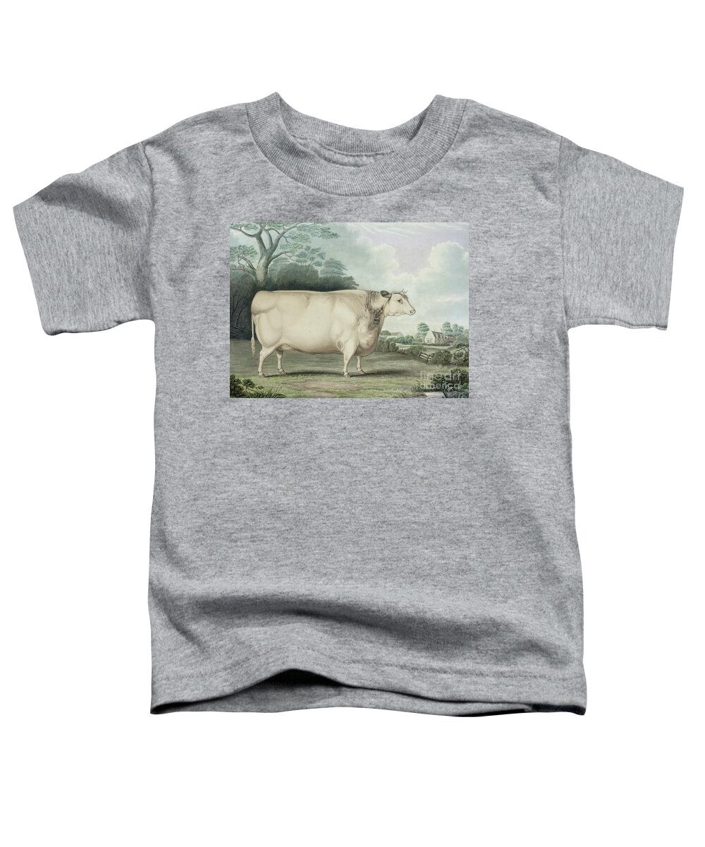 Agriculture Toddler T-Shirt featuring the painting The Habertoft Short Horned Prize Cow by B Hubbard