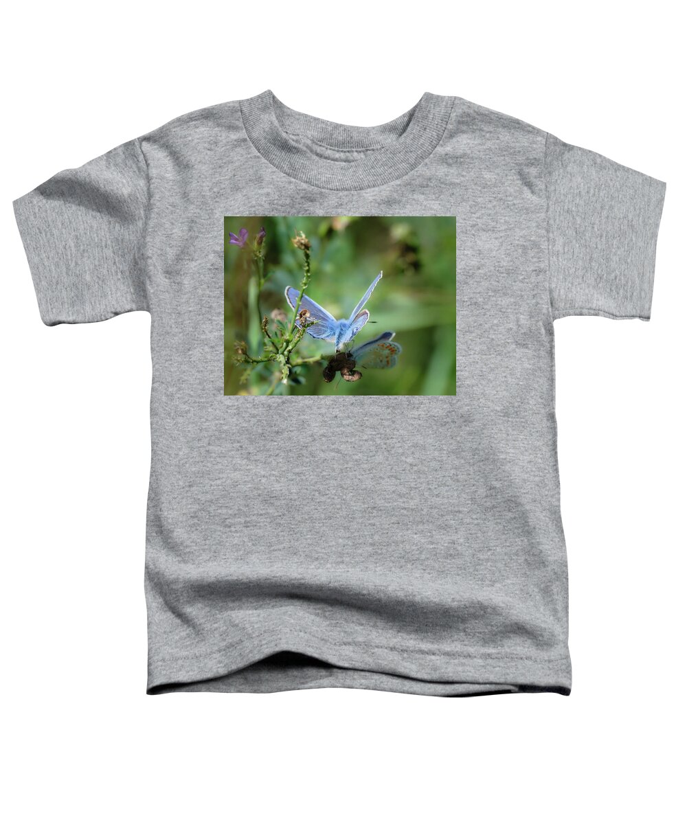 Lac Fauvel Toddler T-Shirt featuring the photograph The Mirrors Butterfly by Carl Marceau