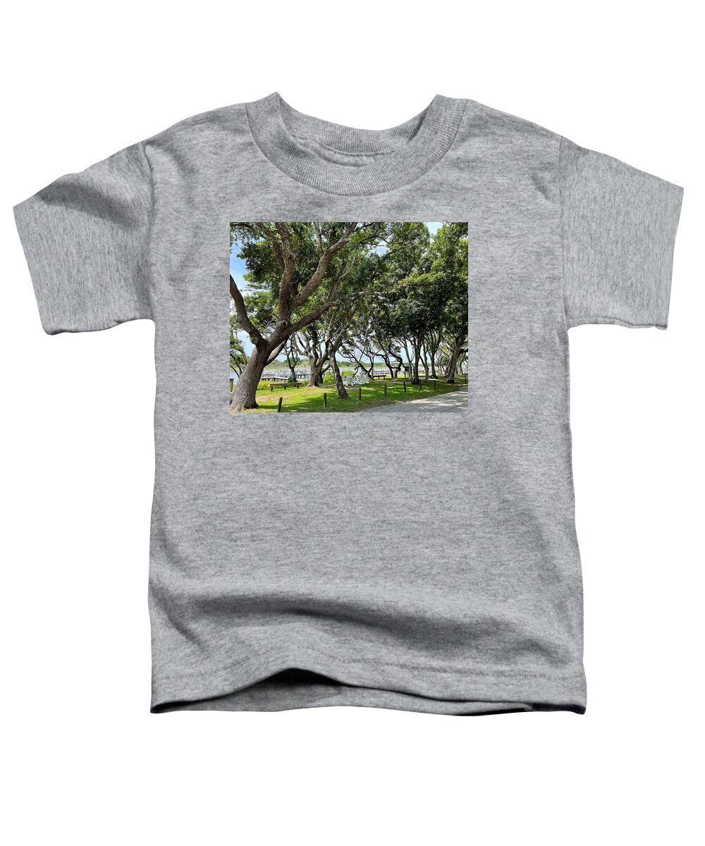 Beaufort Toddler T-Shirt featuring the photograph The Missing Peace by Lee Darnell