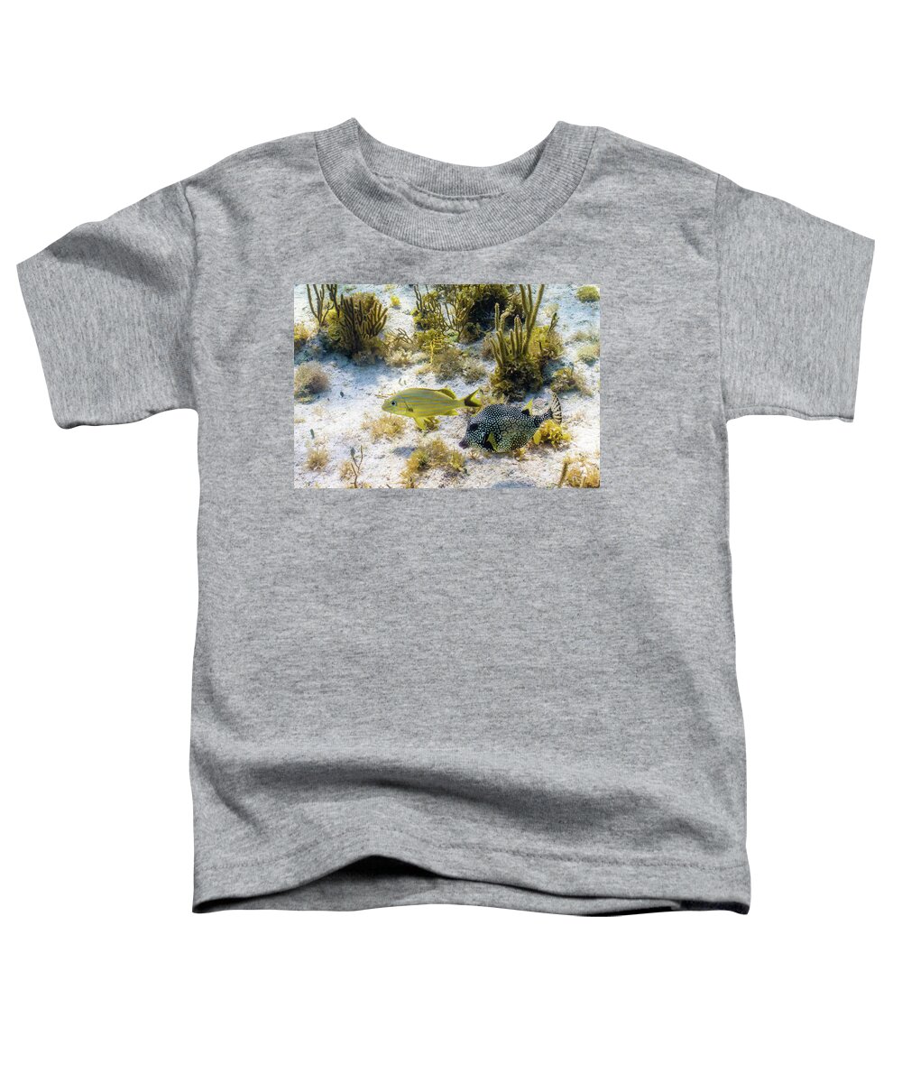 Animals Toddler T-Shirt featuring the photograph The Odd Couple by Lynne Browne