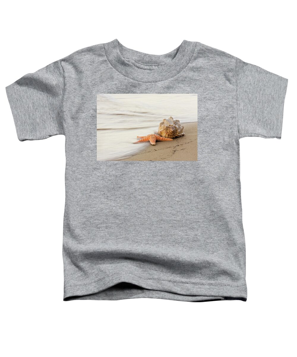 Starfish Toddler T-Shirt featuring the photograph The Starfish and the Shell at Atlantic Beach North Carolina by Bob Decker
