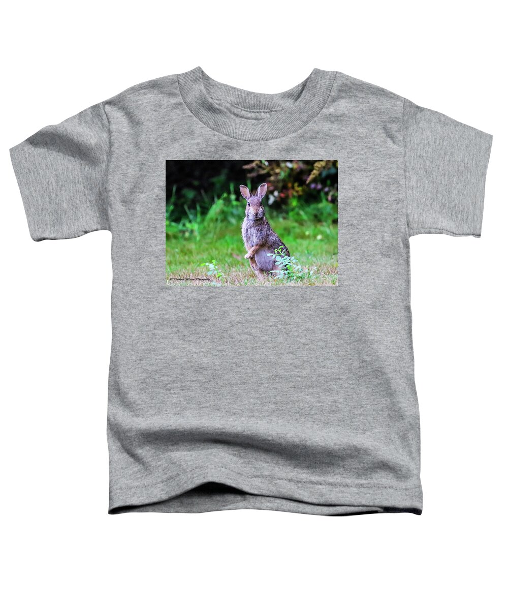 Rabbit Toddler T-Shirt featuring the photograph The Startled Bunny by Tahmina Watson