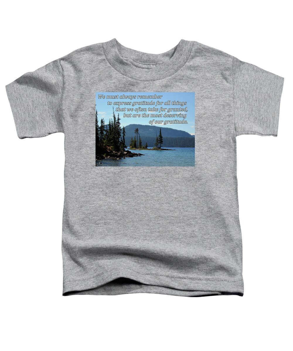 Gratitude Toddler T-Shirt featuring the digital art Things That Deserve Our Gratitude by Julia L Wright