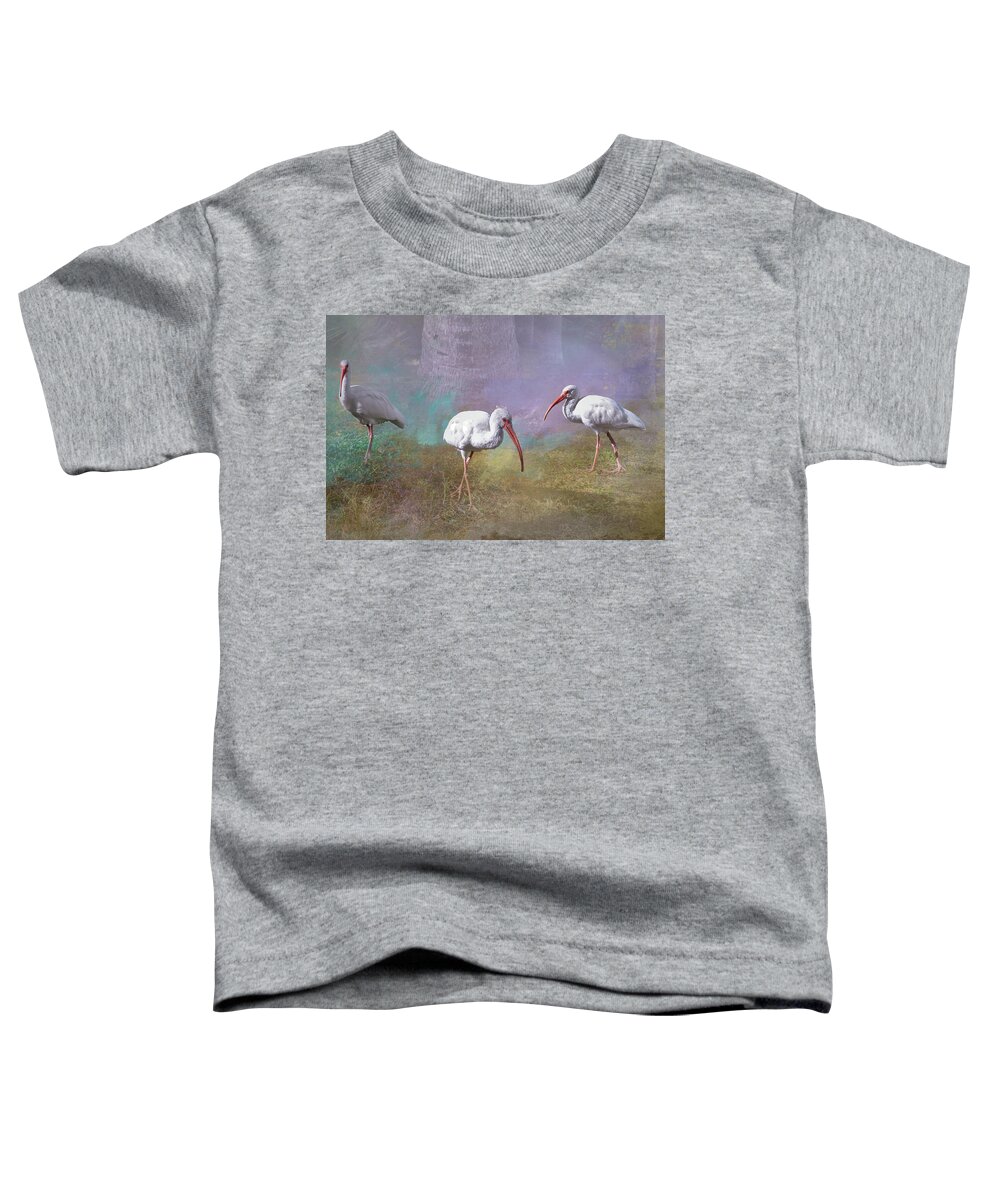 Ibis Toddler T-Shirt featuring the photograph Three American Ibis by Paul Giglia