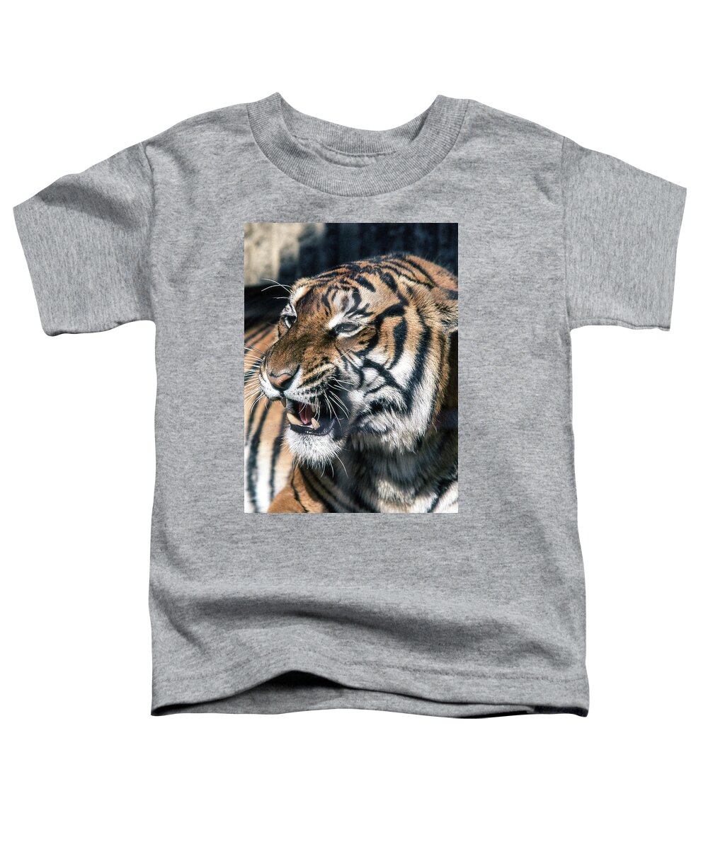 Tiger Toddler T-Shirt featuring the photograph Tiger by Jim Mathis