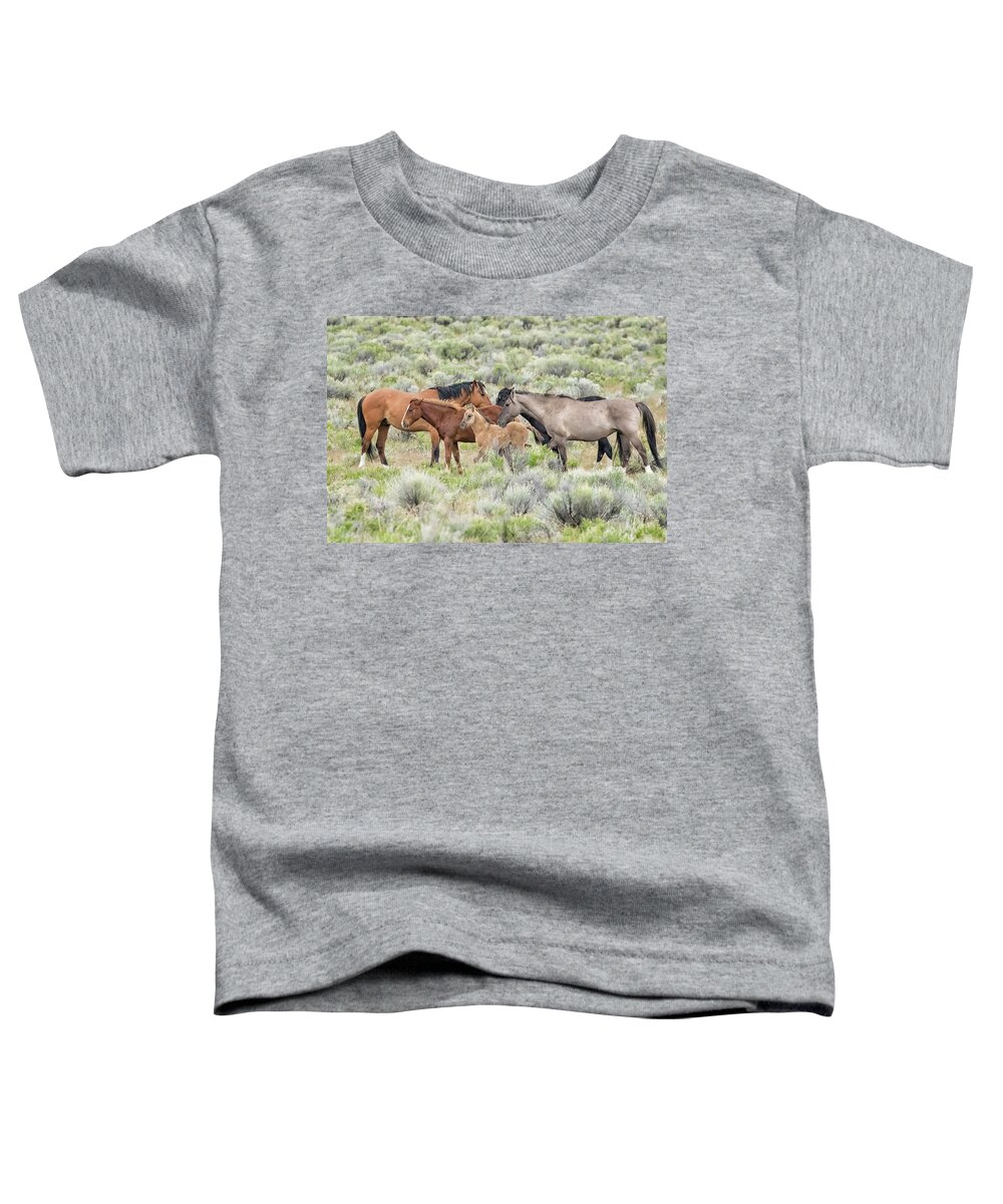 Wild Horses Toddler T-Shirt featuring the photograph Tightly Knit - A South Steens Band of Wild Horses by Belinda Greb