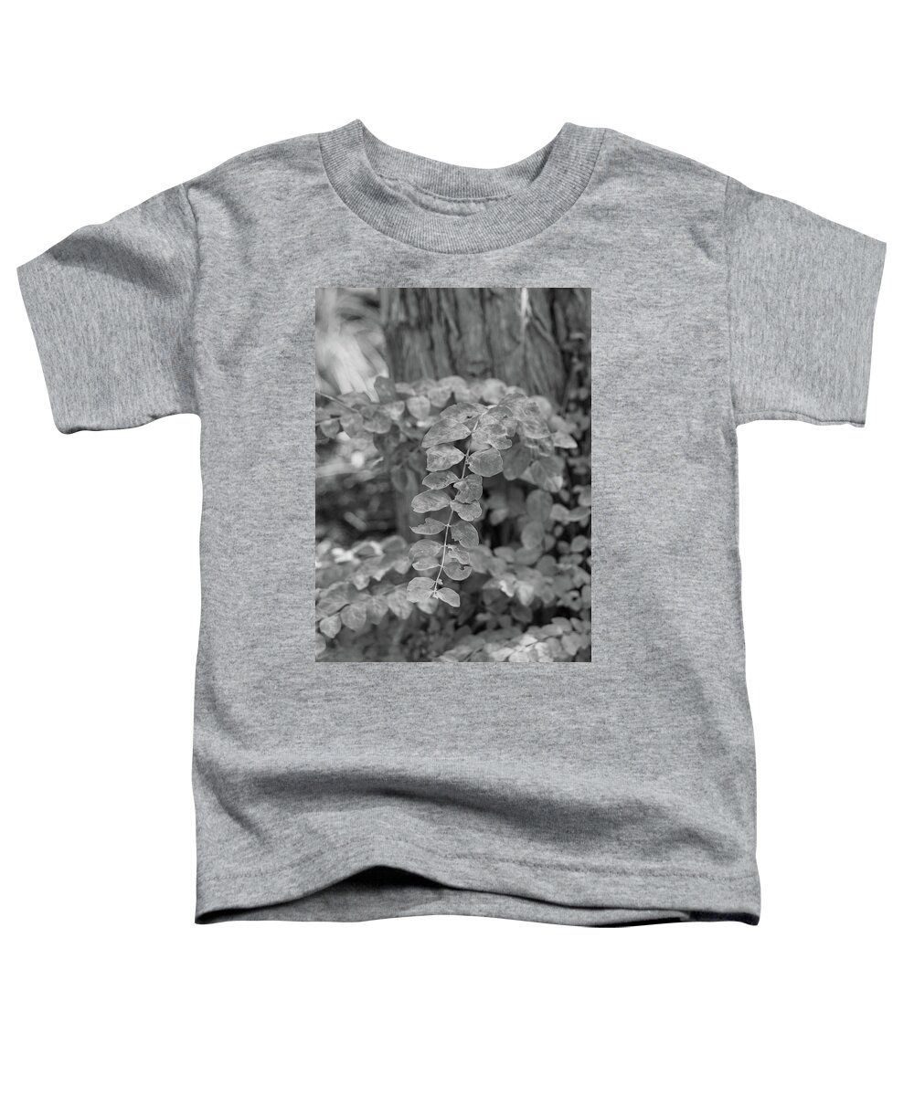 Photography Toddler T-Shirt featuring the photograph Tree Decor by Mary Anne Delgado