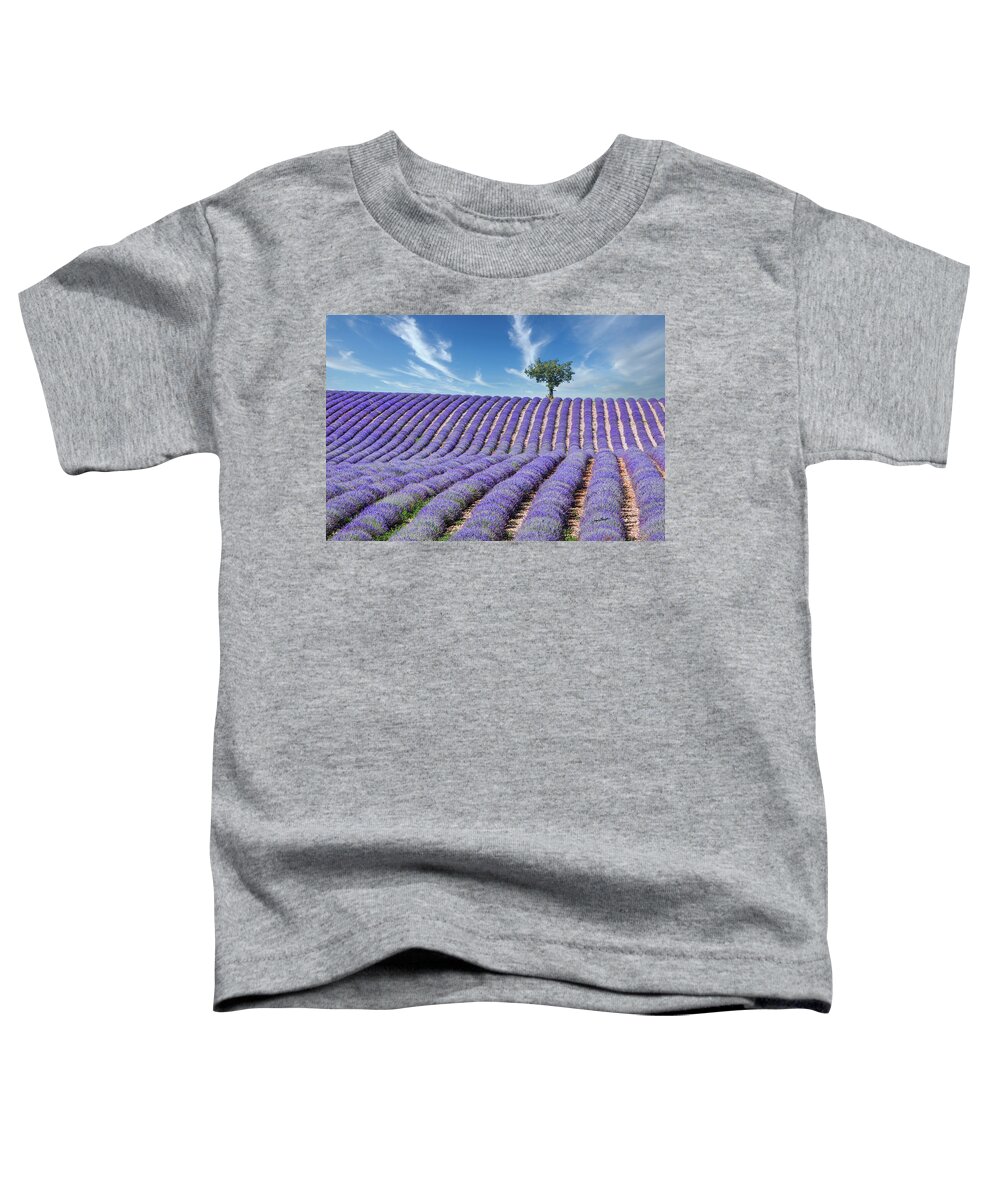 Lavender Field Toddler T-Shirt featuring the photograph Tree in Provence by Jurgen Lorenzen