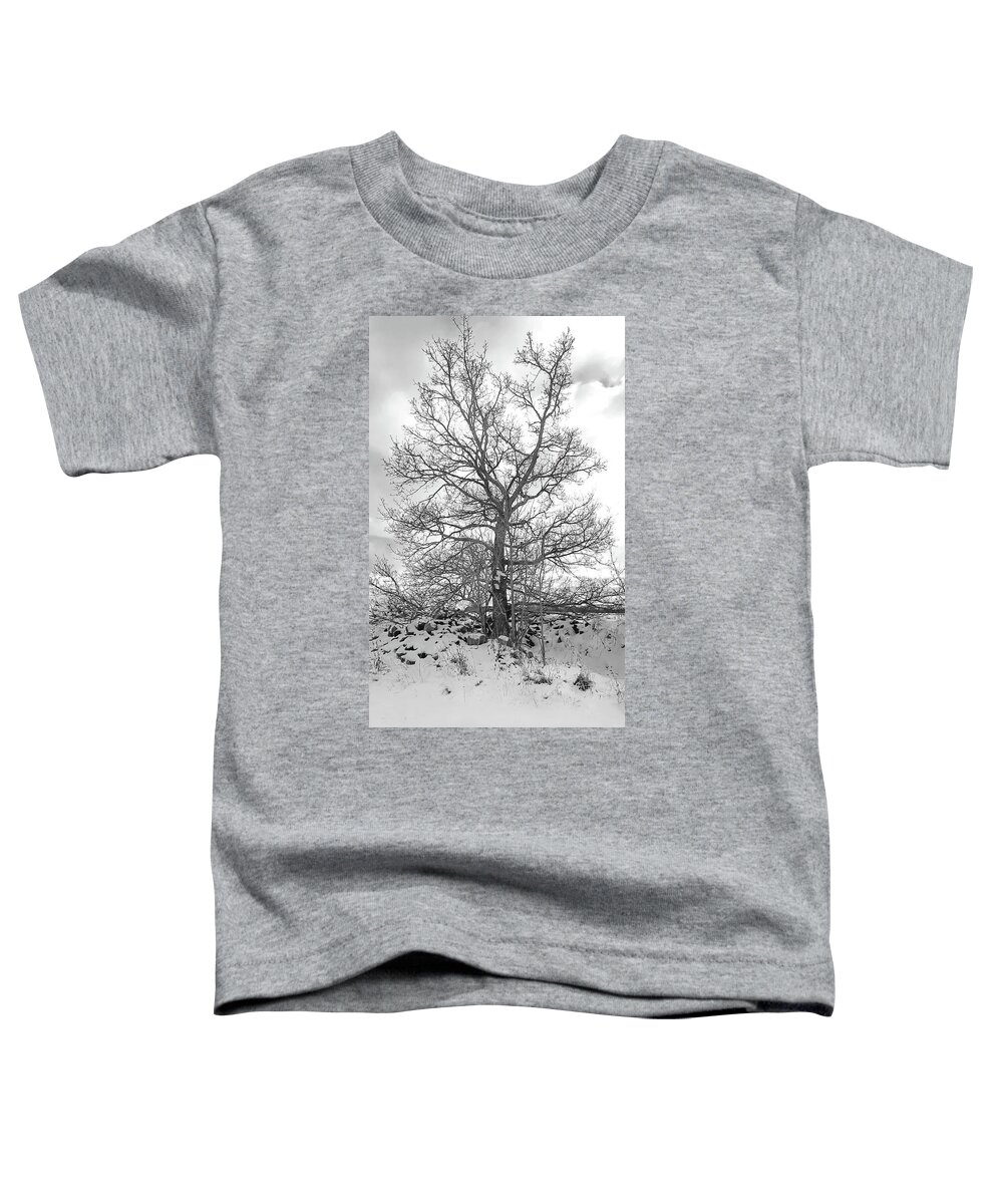 Tree Toddler T-Shirt featuring the photograph Tree in the Snow by Elaine Berger