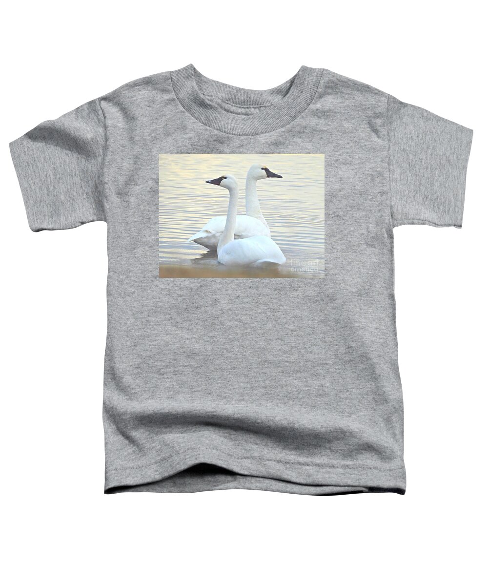 Swans Toddler T-Shirt featuring the photograph Tundra Swans February 8, 2024 by Sheila Lee