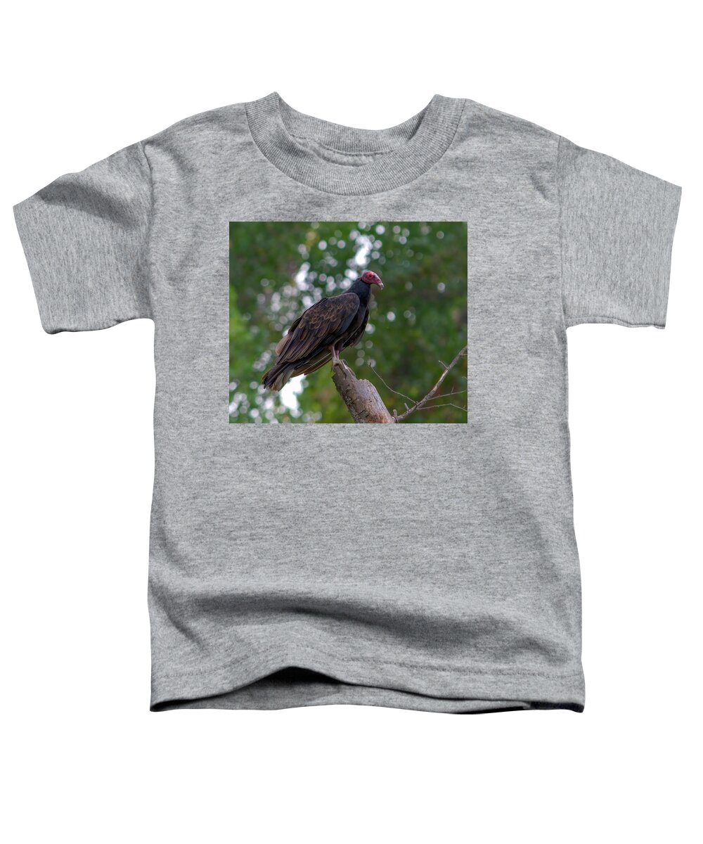 Bird Toddler T-Shirt featuring the photograph Turkey Vulture 5 by Alan C Wade