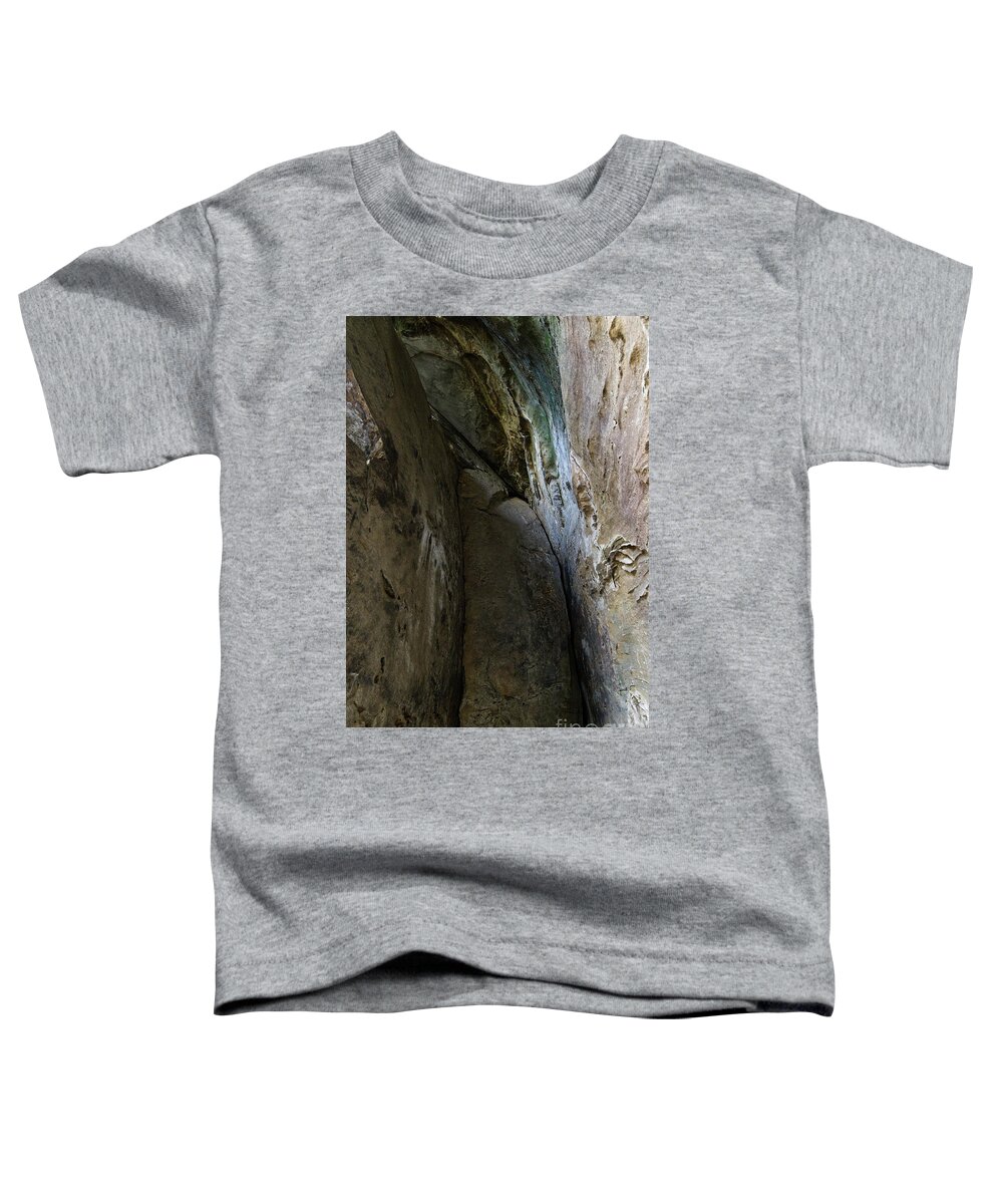 Nature Toddler T-Shirt featuring the photograph Twin Arches 10 by Phil Perkins