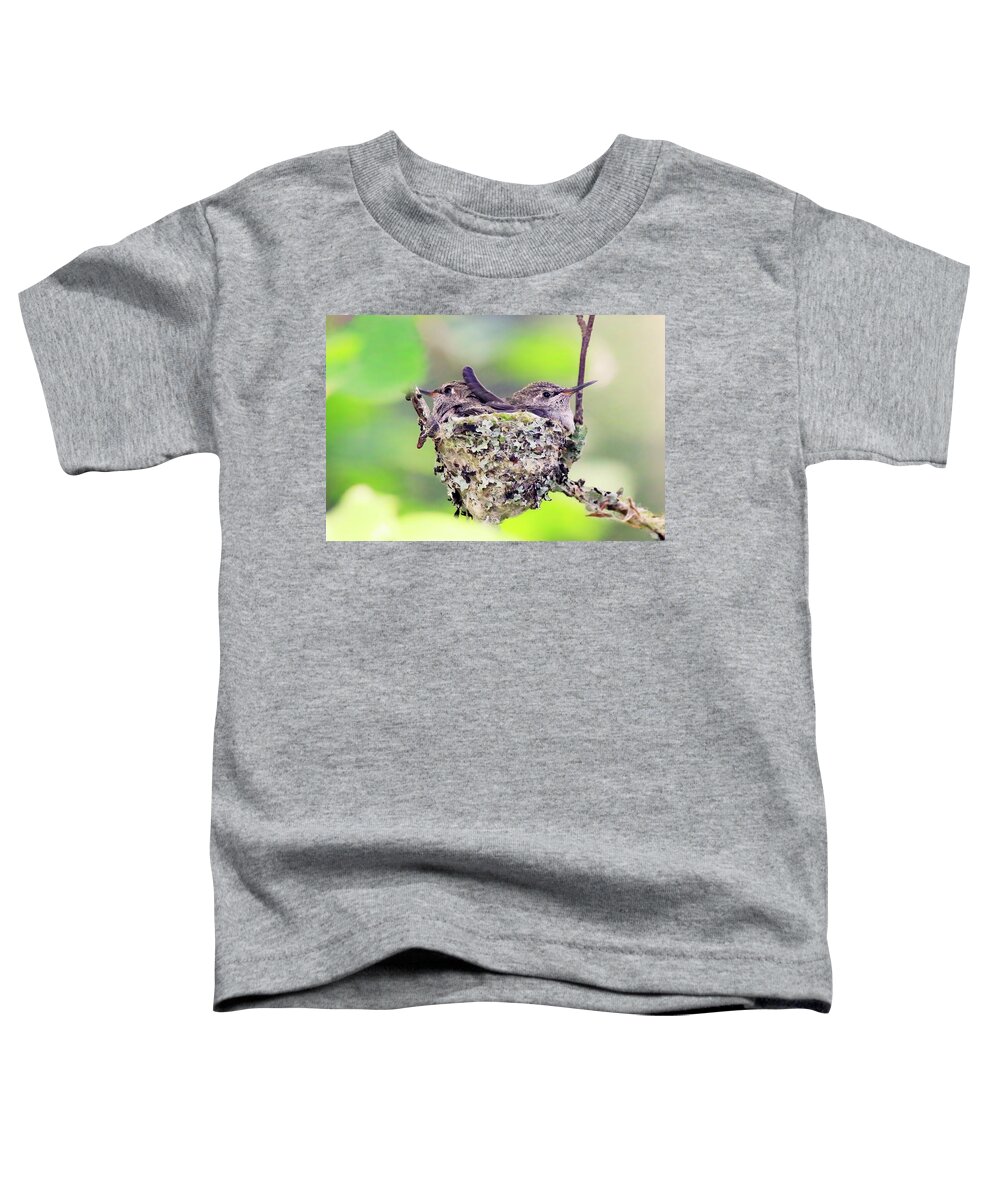 Fledging Anna's Hummingbirds Toddler T-Shirt featuring the photograph Two Fledging Anna's Hummingbirds in a Nest by Shixing Wen