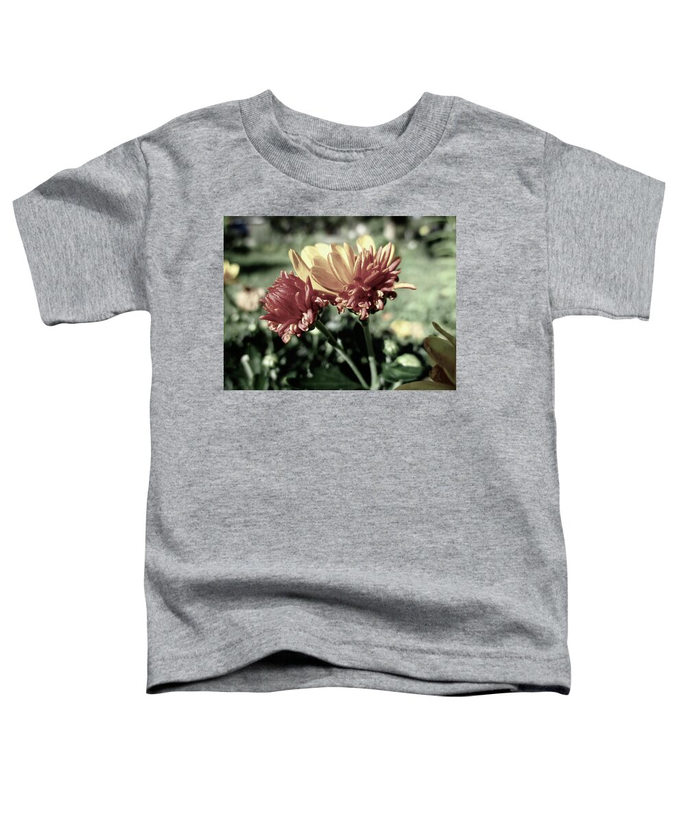 Calendula Officinalis Toddler T-Shirt featuring the photograph Two Pot Marigolds by W Craig Photography