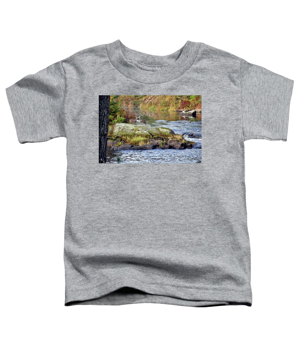 Landscape Toddler T-Shirt featuring the photograph Two Deer_Vermillion River by Rick Hansen