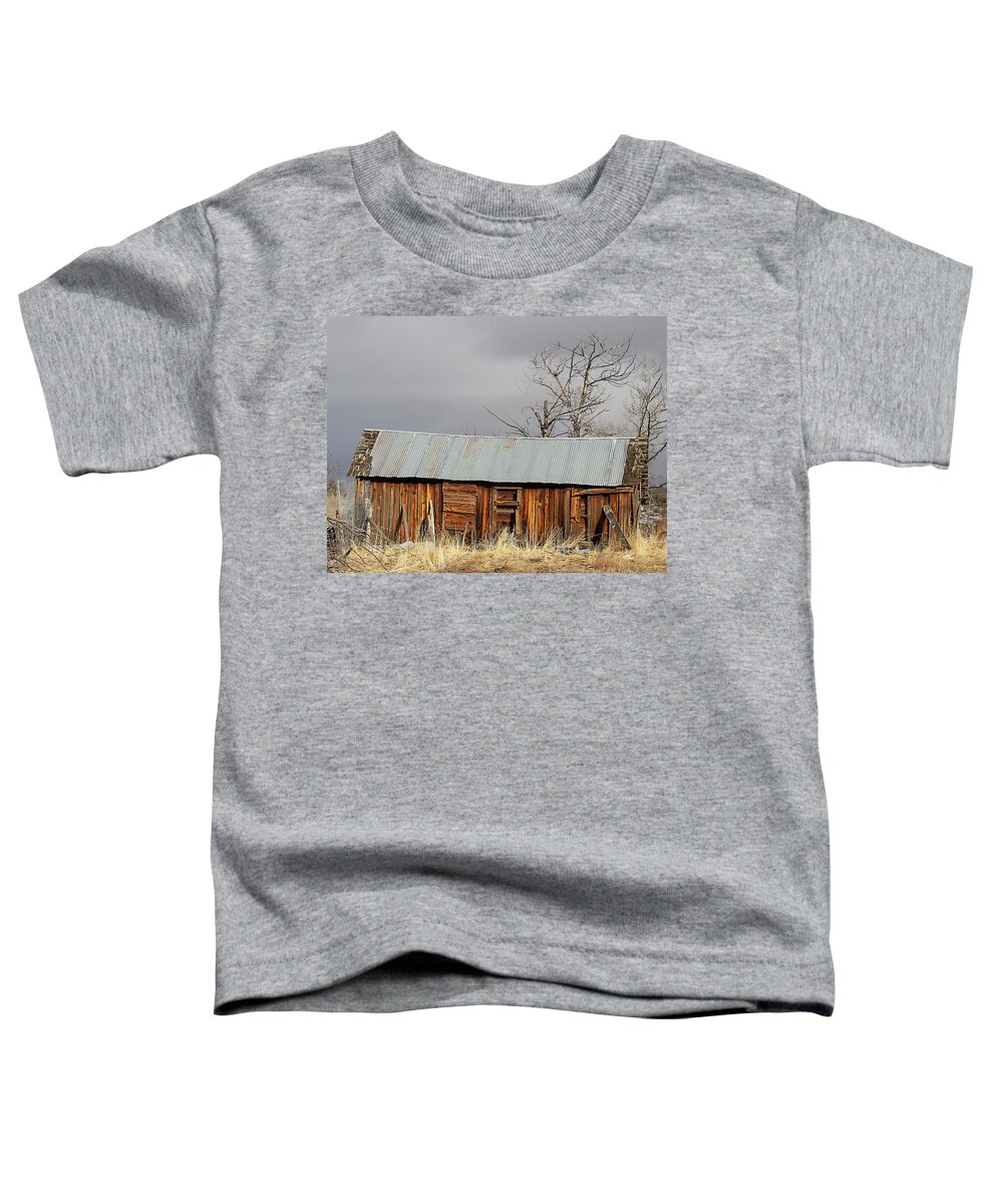 Barn Toddler T-Shirt featuring the photograph Vintage Barn in Idaho by Dart Humeston