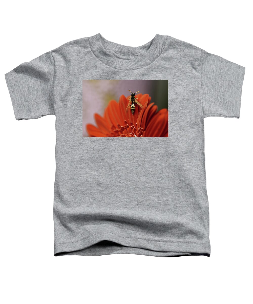 Wasp Toddler T-Shirt featuring the photograph Wasp on the Edge by Vanessa Thomas
