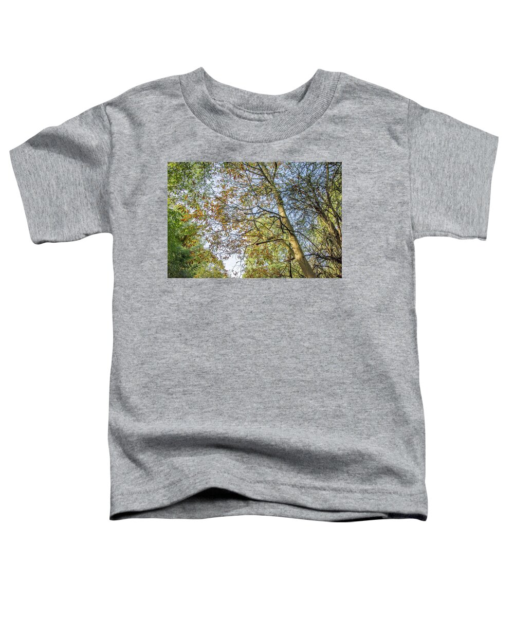 Whetstone Stray Toddler T-Shirt featuring the photograph Whetstone Stray Trees Fall 12 by Edmund Peston