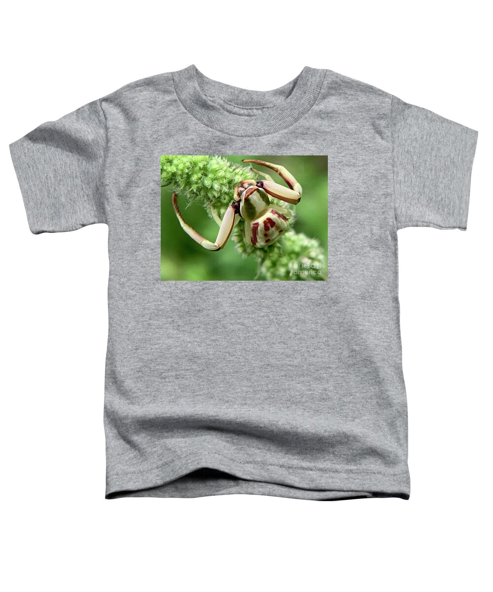 Spider Toddler T-Shirt featuring the photograph White Banded Crab Spider by Catherine Wilson