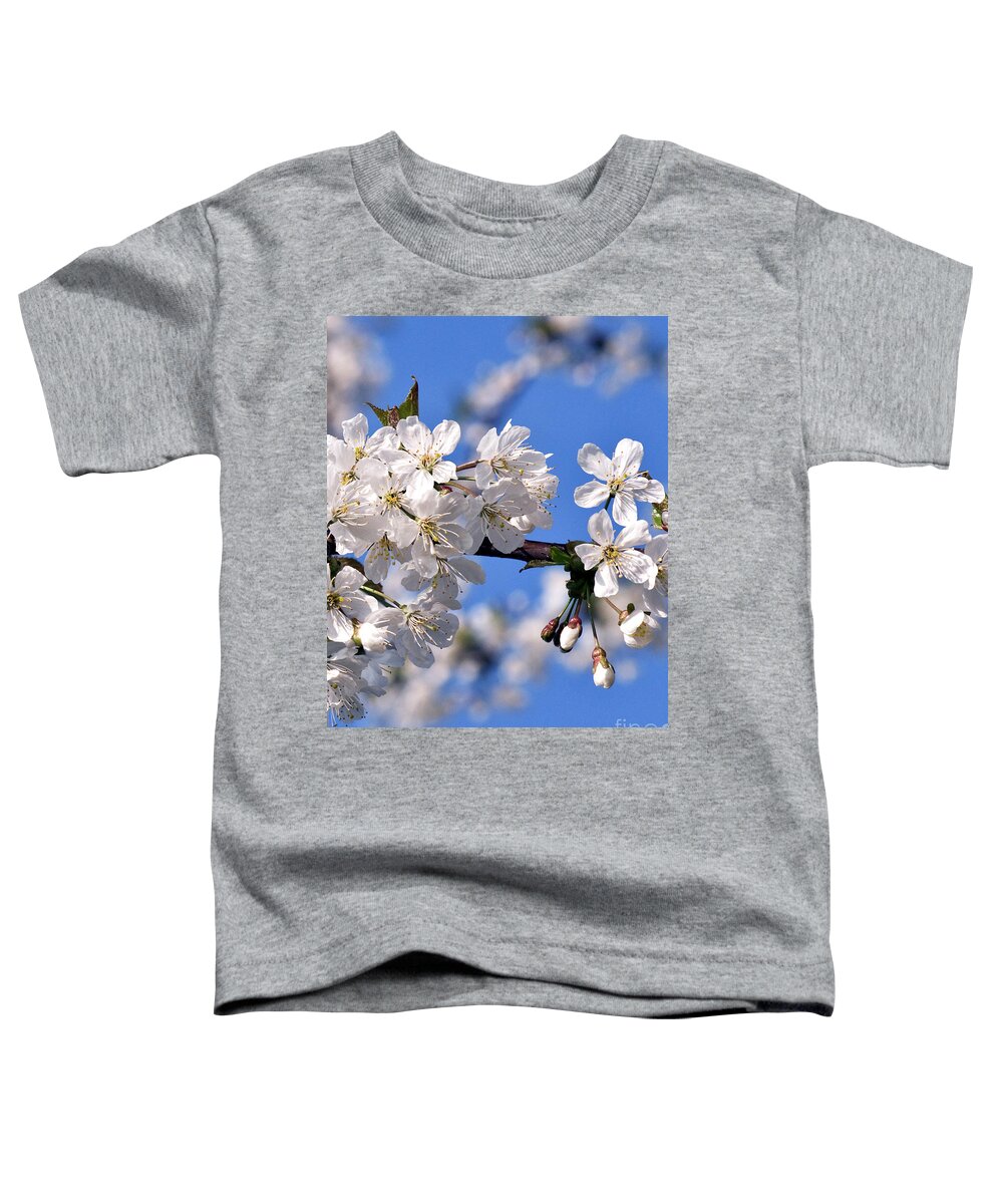 White Cherry Blossoms Toddler T-Shirt featuring the photograph White Cherry Blossoms by Silva Wischeropp
