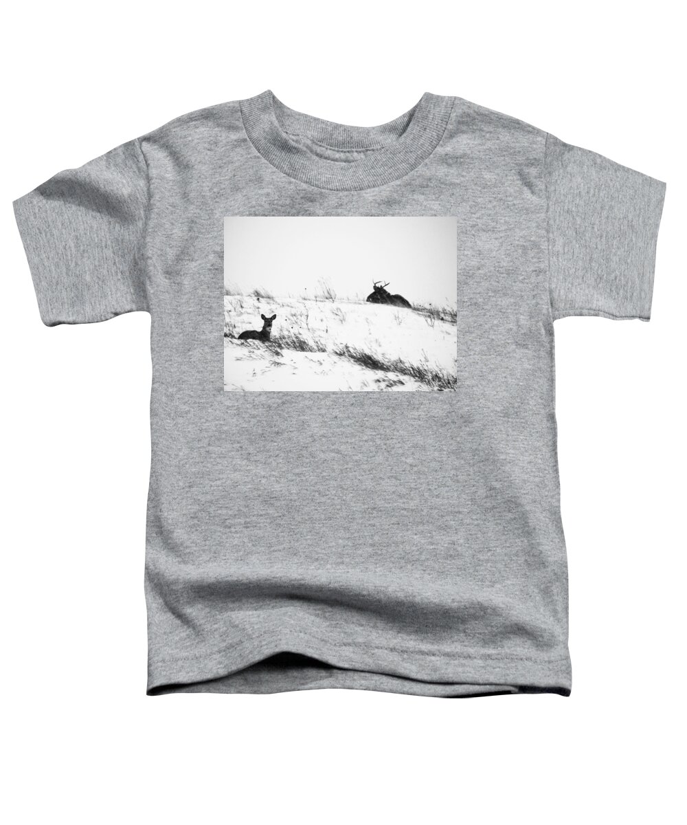 Deer Toddler T-Shirt featuring the photograph White Tail Deer In The Snow by Amanda R Wright
