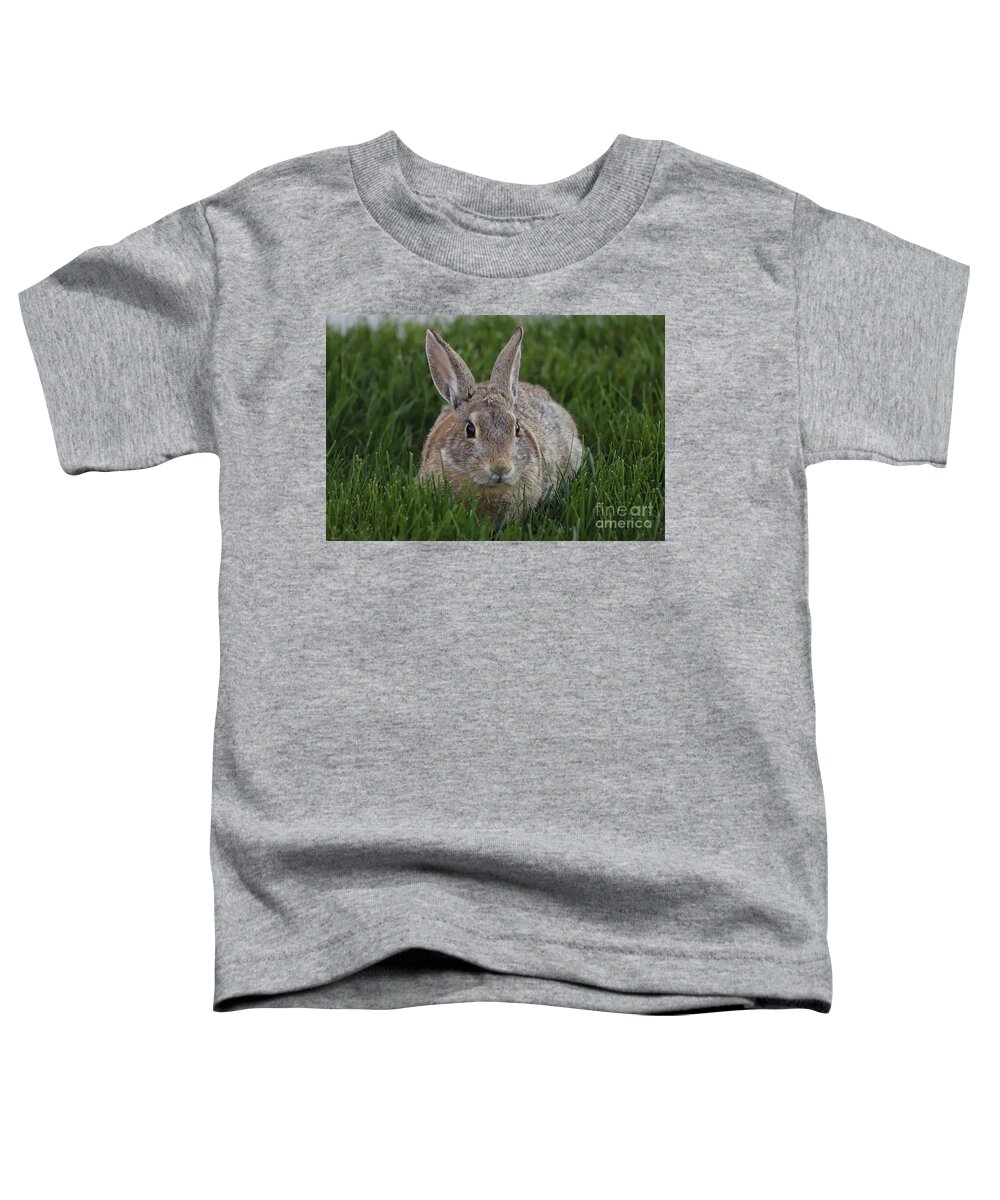 Rabbit Toddler T-Shirt featuring the photograph Wild Hare by Veronica Batterson