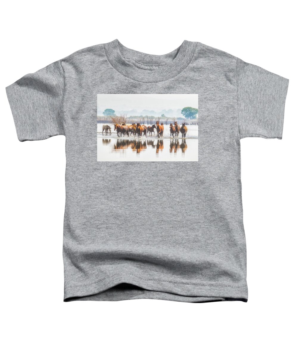 Nevada Toddler T-Shirt featuring the photograph Wild Horses Crossing Big Washoe by Marc Crumpler