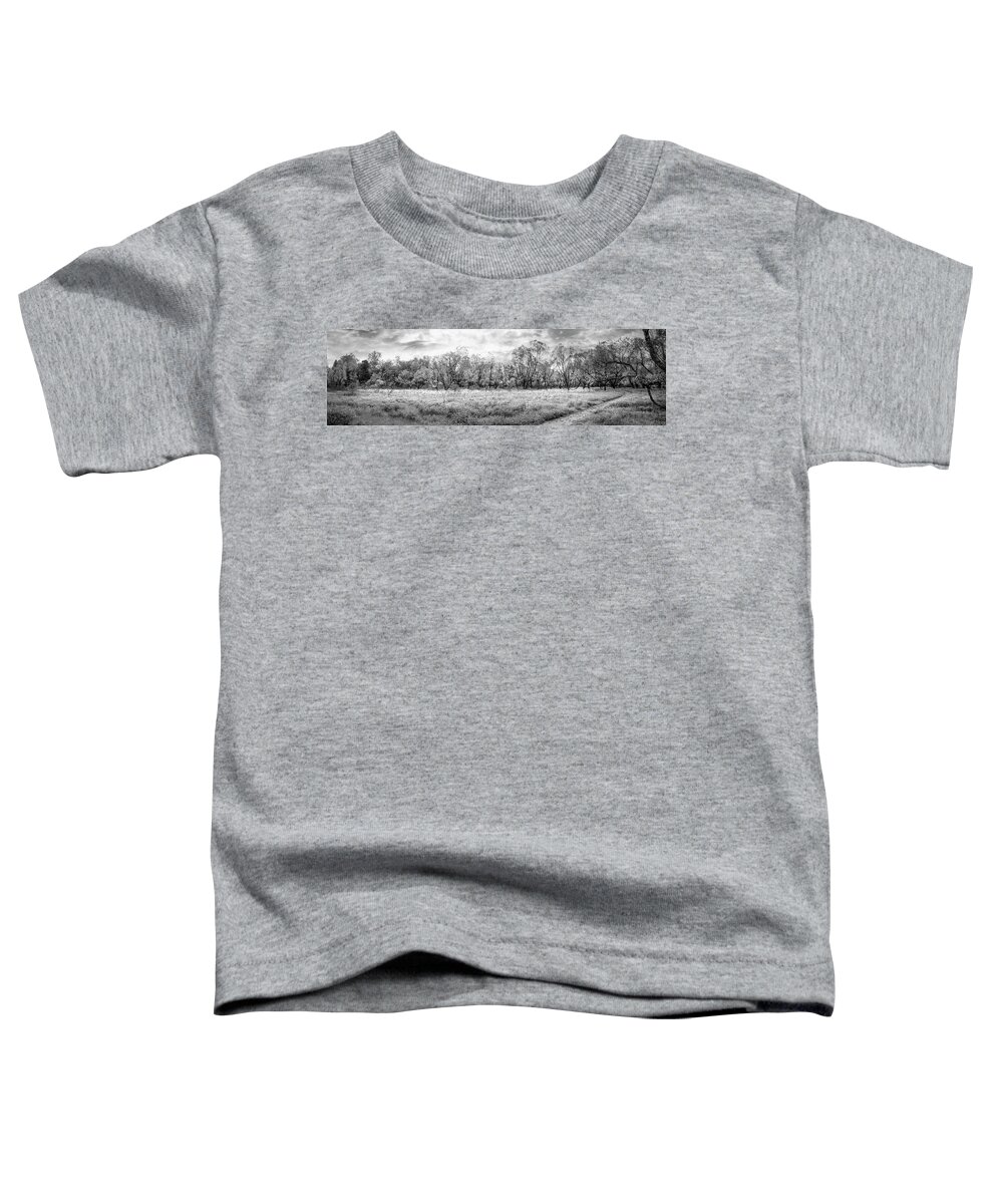 Carolina Toddler T-Shirt featuring the photograph Wildflower Meadow Panorama Black and White by Debra and Dave Vanderlaan
