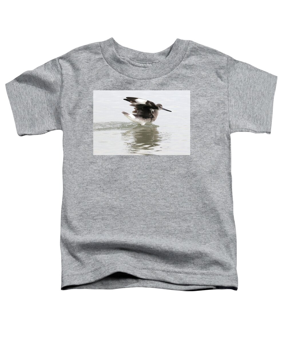 Willet Toddler T-Shirt featuring the photograph Willet's Impressive Wings 1 by Mingming Jiang