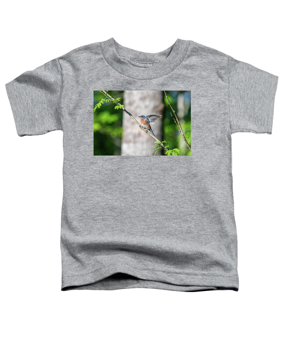 Blue Ridge Parkway Toddler T-Shirt featuring the photograph Wings of a Bluebird by Robert J Wagner