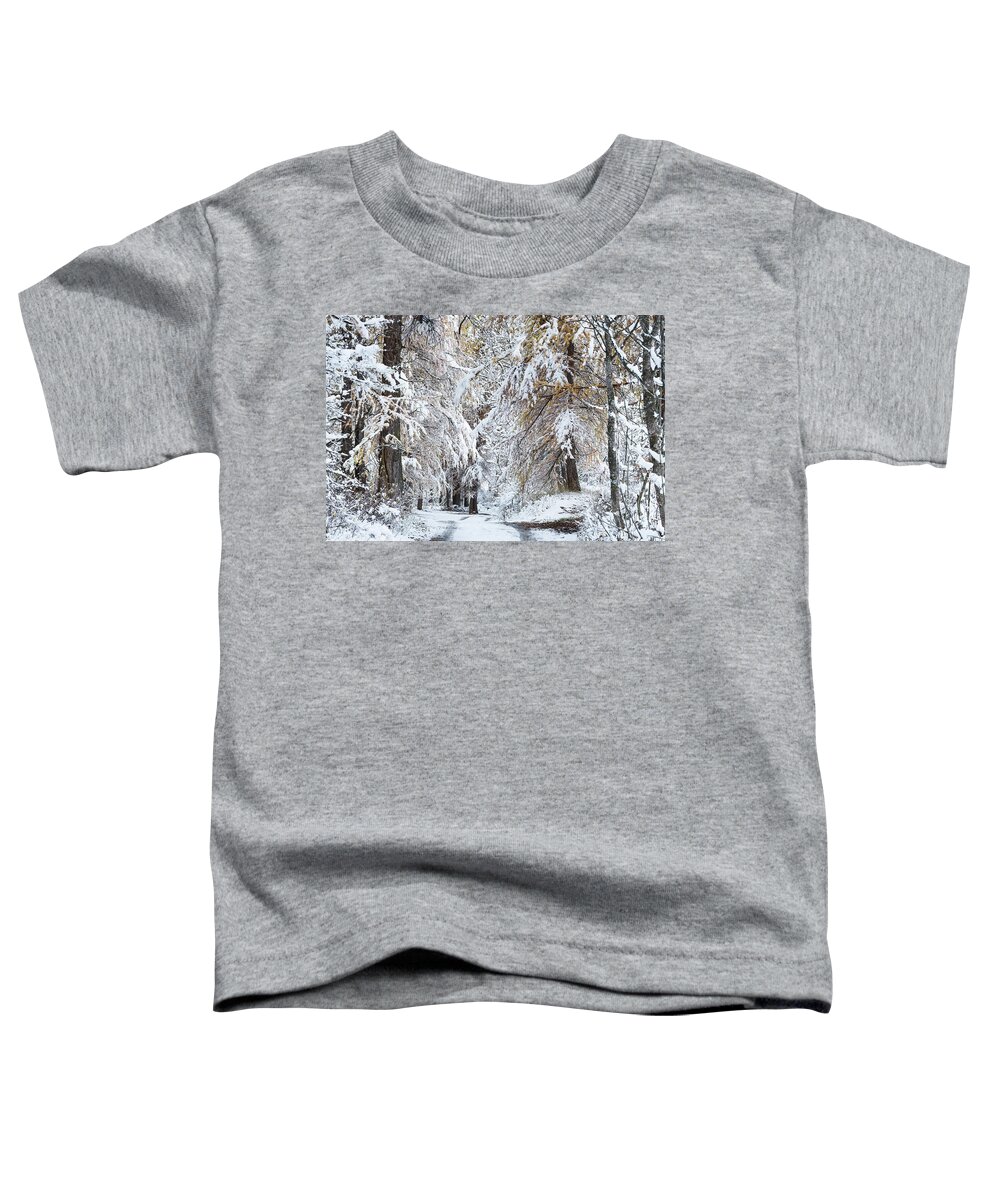 Snowy Landscape Toddler T-Shirt featuring the photograph Winter Dreams - 7 - French Alps by Paul MAURICE