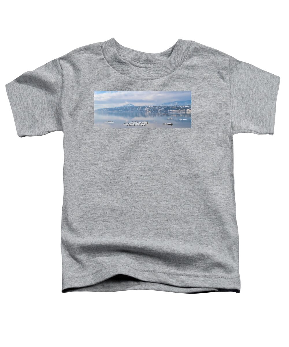 Landscape Toddler T-Shirt featuring the photograph Winter Gulls and Reflections Wide by Allan Van Gasbeck