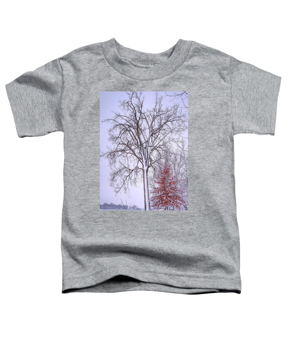 White Toddler T-Shirt featuring the photograph Winter, i don't wanna a lose red by Carl Marceau