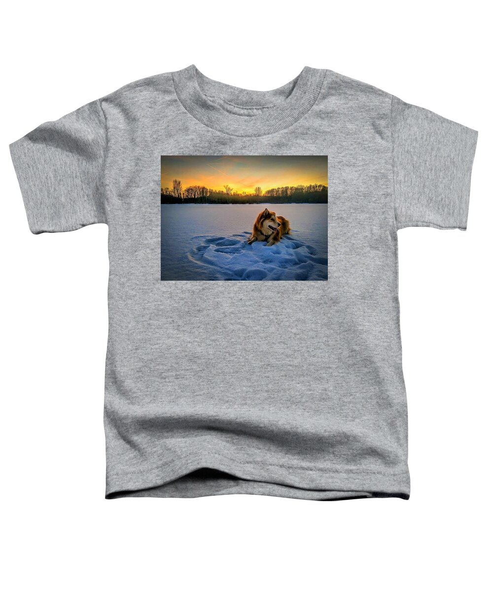  Toddler T-Shirt featuring the photograph Winter Sunset by Brad Nellis